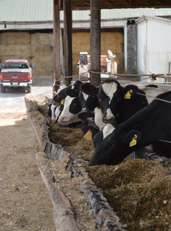 DairySpotlight-Hetrick1.jpg